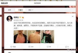 樊昊仑爆料赫子铭视频,真相背后引人深思  第2张